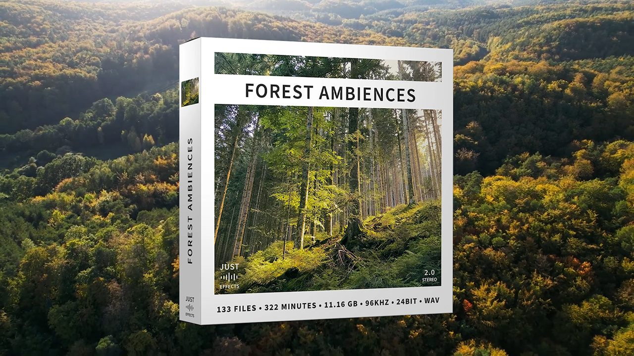 Just Sound Effects 11GB森林氛围音效四季白天夜晚大自然纯净电影音效库 Forest Ambiences